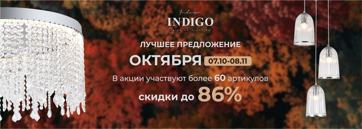 INDIGO Лучшее предложение ОКТЯБРЯ