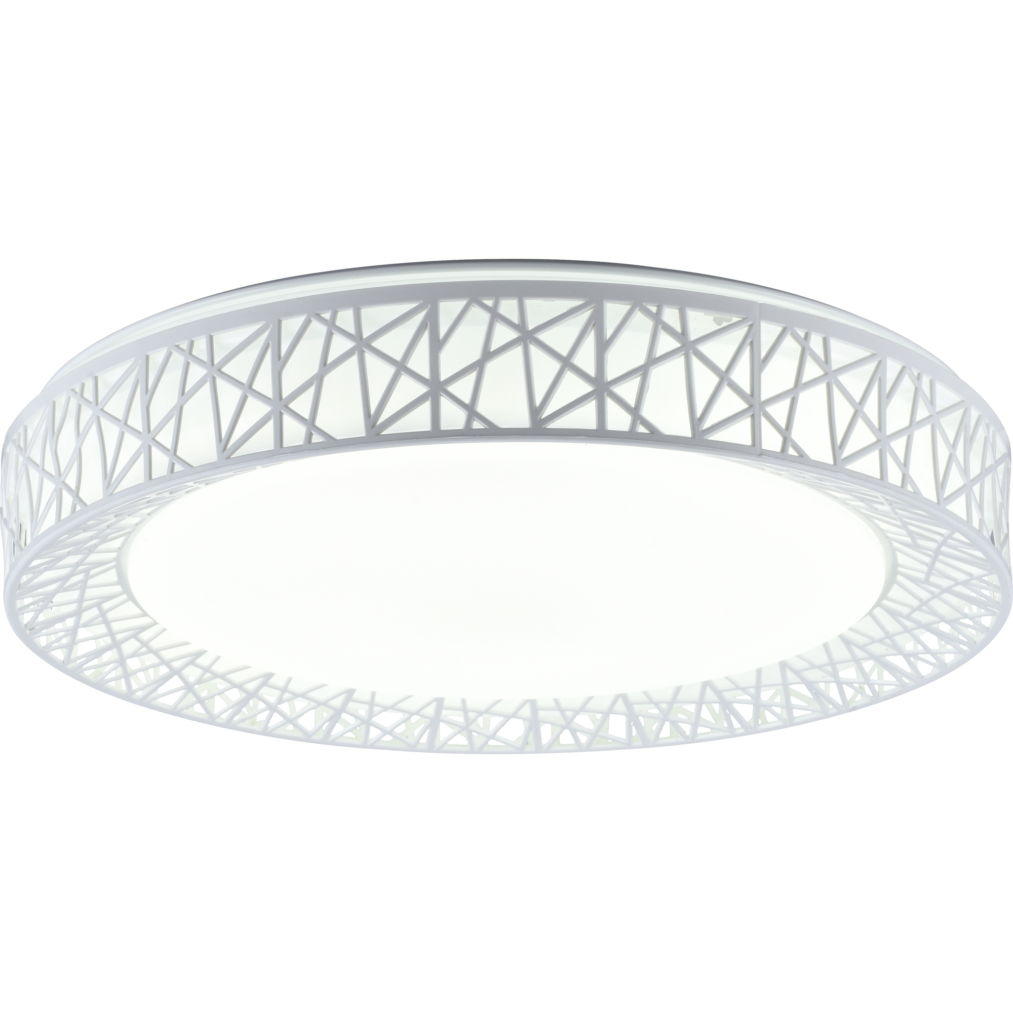 Потолочная светодиодная люстра Diana Toplight TL1204X-72WH