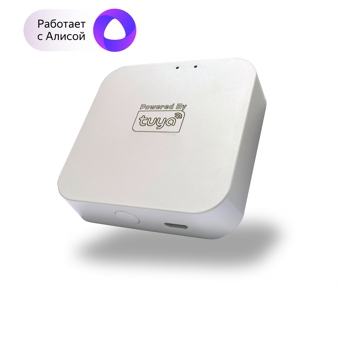 WI-FI Converter Denkirs DK7400-WF