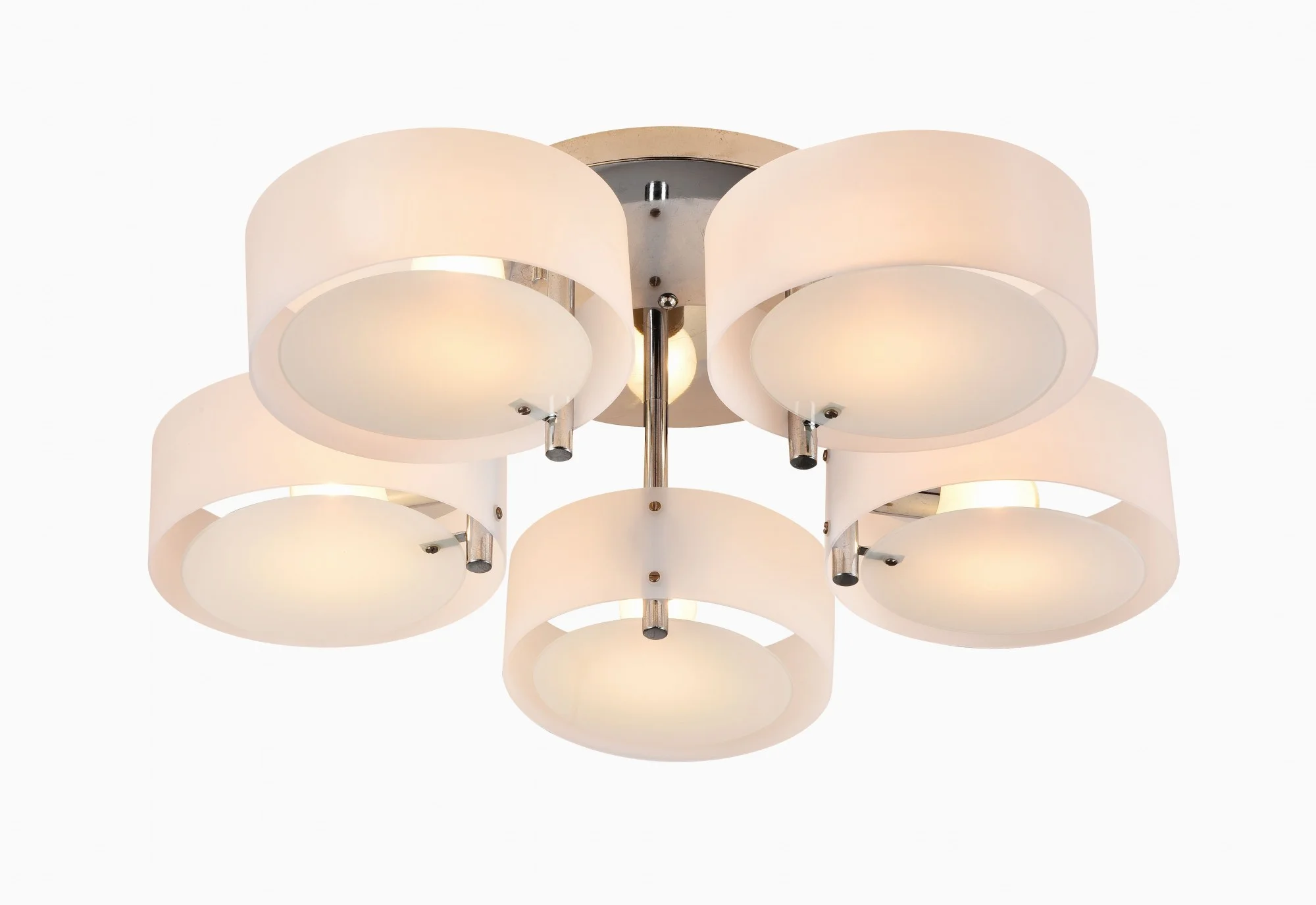 Потолочная люстра Evoluce Foresta SL483.502.05